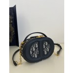 DIOR Signature series oval camera bag