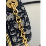 DIOR Signature series oval camera bag
