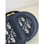 DIOR Signature series oval camera bag