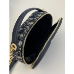 DIOR Signature series oval camera bag