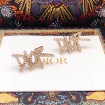 Dior earrings