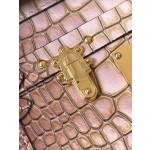 𝐋𝐎𝐔𝐈𝐒𝐕𝐔𝐈𝐓𝐓𝐎𝐍 N81976Petite Malle handbag