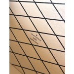 𝐋𝐎𝐔𝐈𝐒𝐕𝐔𝐈𝐓𝐓𝐎𝐍 N81976Petite Malle handbag