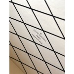 𝐋𝐎𝐔𝐈𝐒𝐕𝐔𝐈𝐓𝐓𝐎𝐍 M21462 crocodile pattern Petite Malle handbag