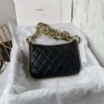 CHANEL 23C Moon Bag model number AS4067