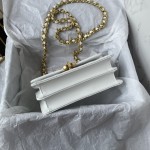 CHANEL 23C New Early Spring Vintage Bag Model Number: AS4069