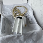 CHANEL 23C New Early Spring Vintage Bag Model Number: AS4069