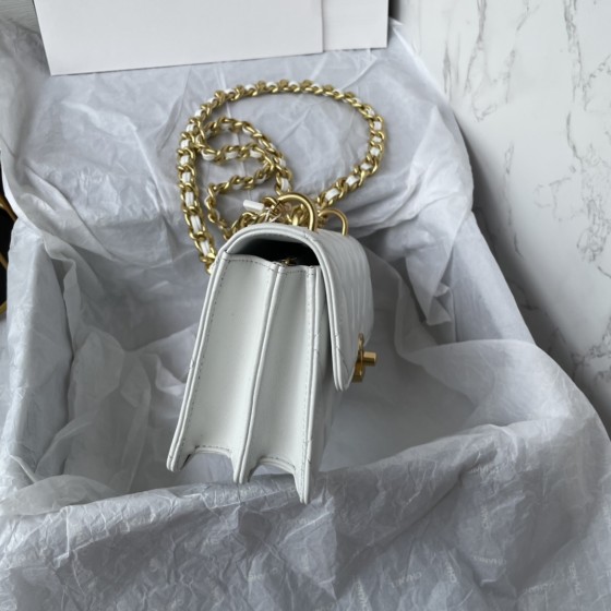 CHANEL 23C New Early Spring Vintage Bag Model Number: AS4069