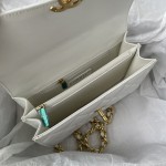 CHANEL 23C New Early Spring Vintage Bag Model Number: AS4069