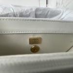 CHANEL 23C New Early Spring Vintage Bag Model Number: AS4069