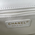 CHANEL 23C New Early Spring Vintage Bag Model Number: AS4069