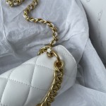 CHANEL 23C New Early Spring Vintage Bag Model Number: AS4069