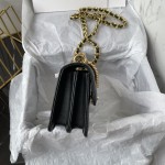 CHANEL 23C New Early Spring Vintage Bag Model Number: AS4069