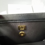 CHANEL 23C New Early Spring Vintage Bag Model Number: AS4069