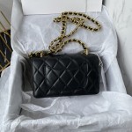 CHANEL 23C New Early Spring Vintage Bag Model Number: AS4069