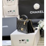 CHANEL Litchi Skin Organ Bag AS428400128