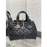 DIOR Toujours travel bag 9231