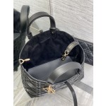 DIOR Toujours travel bag 9231