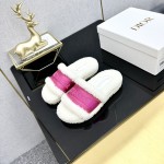 Dior Autumn/Winter New Wool Slippers