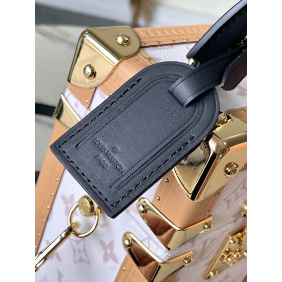 Louis Vuitton  M10079 白花 the Camera Box（相机盒）