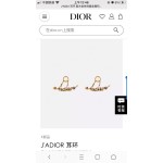 Dior earrings