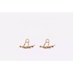 Dior earrings