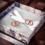 Dior earrings