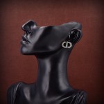 Dior earrings