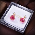 Dior CD Earrings