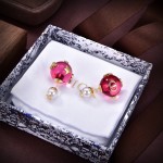 Dior CD Earrings