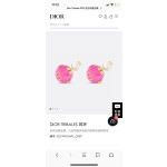 Dior CD Earrings