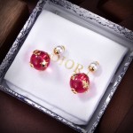 Dior CD Earrings