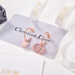Dior CD Earrings