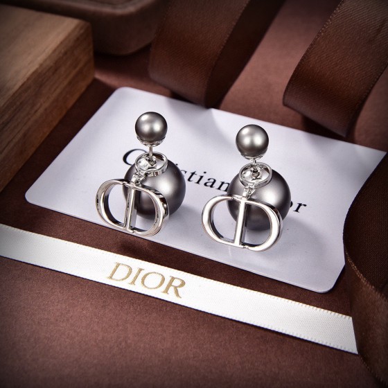 Dior CD Earrings
