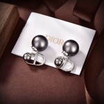 Dior CD Earrings