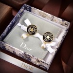 Dior CD Earrings