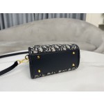 DIOR pillow bag handbag