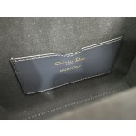 DIOR pillow bag handbag