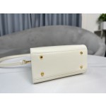 DIOR pillow bag handbag