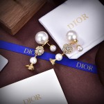 Dior earrings