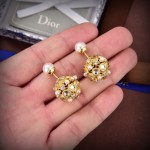Dior earrings