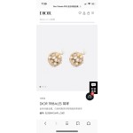 Dior earrings
