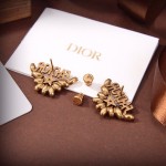 Dior earrings
