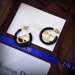 Dior earrings