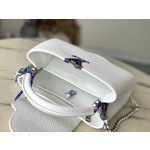 𝐋𝐎𝐔𝐈𝐒𝐕𝐔𝐈𝐓𝐓𝐎𝐍 M22054 White Colorful Gold Buckle Small Capsines BB Handbag