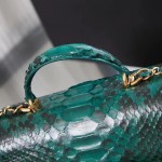 CHANEL model 24313mini cover bag