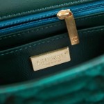 CHANEL model 24313mini cover bag