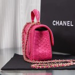 CHANEL model 24313mini cover bag