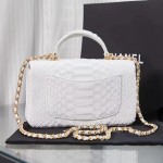CHANEL model 24313mini cover bag