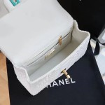 CHANEL model 24313mini cover bag